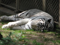 20100206 509.JPG